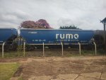 RUMO HTT-352769-7